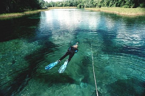 Image of Crystal River